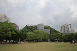 Acros Fukuoka Step Garden Visitor Guide: Tips, Views & Hours