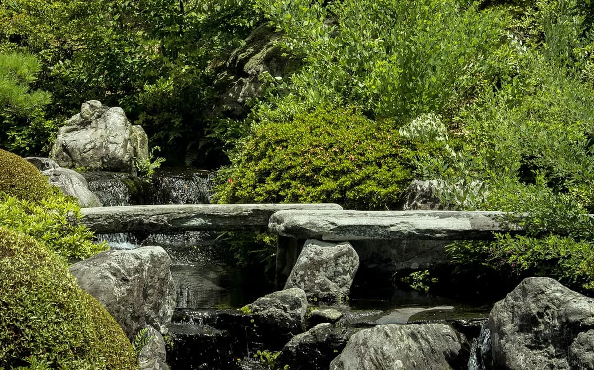 Adachi Museum of Art Visitor Guide: Complete Travel Tips
