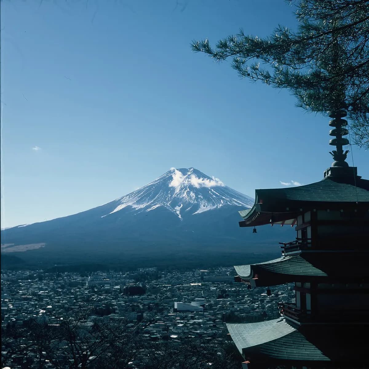 Arakurayama Sengen Park Visitor Guide