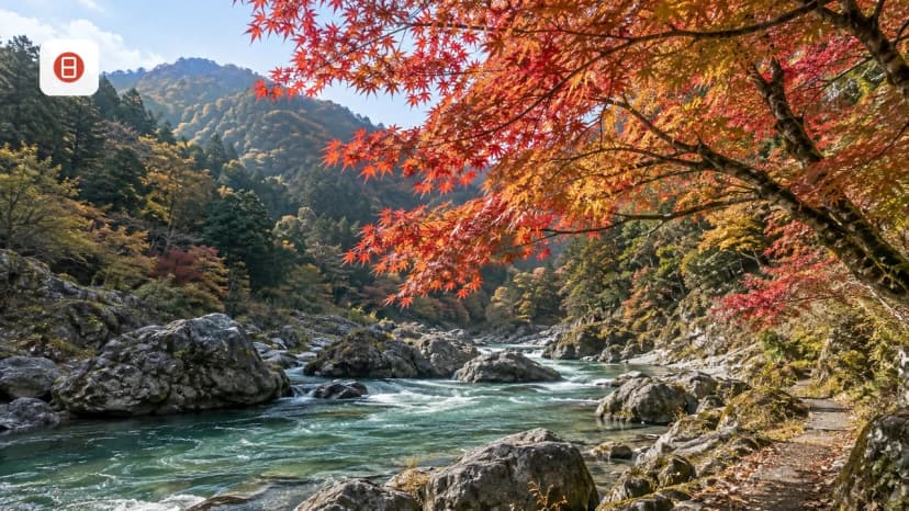 Autumn Day Trips from Tokyo: 2026 Koyo Season Guide