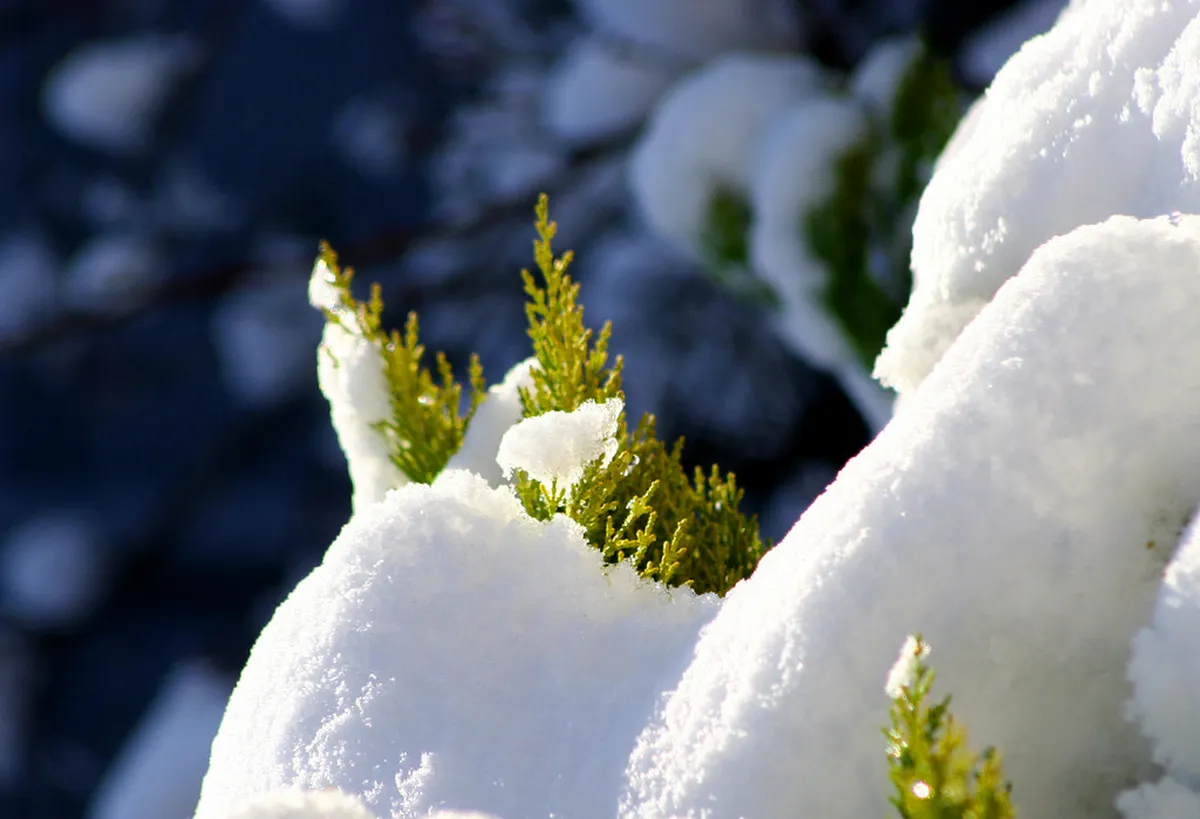 Beppu in Winter: 7 Best Things to Do and See