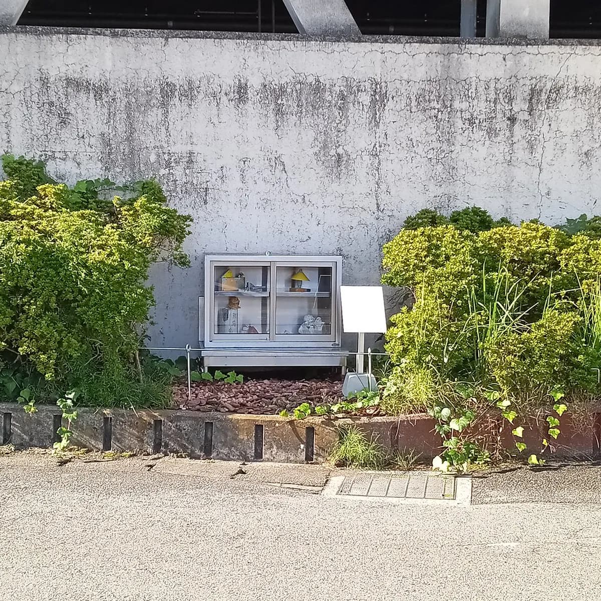 1-Day Beppu Landmark Walking Tour Itinerary (Japan)