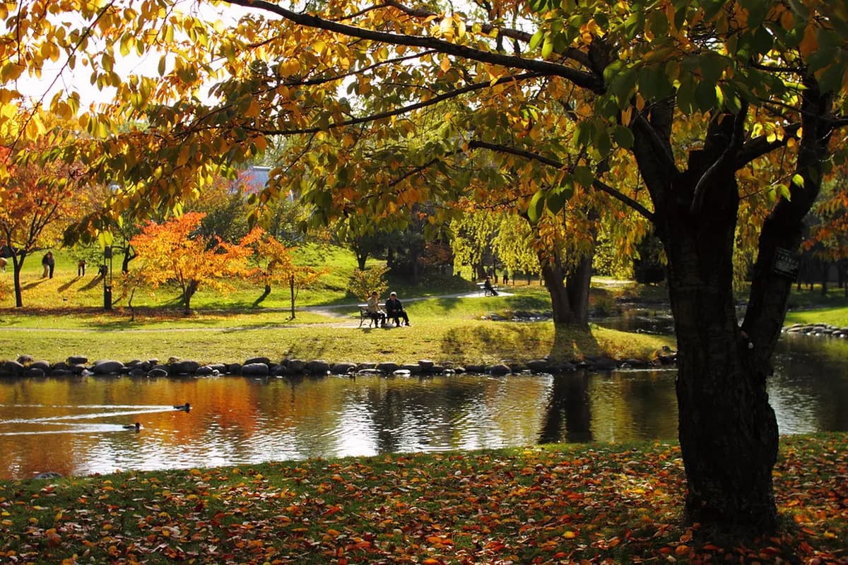 Best Season to Visit Sapporo: 9 Essential Seasonal Insights