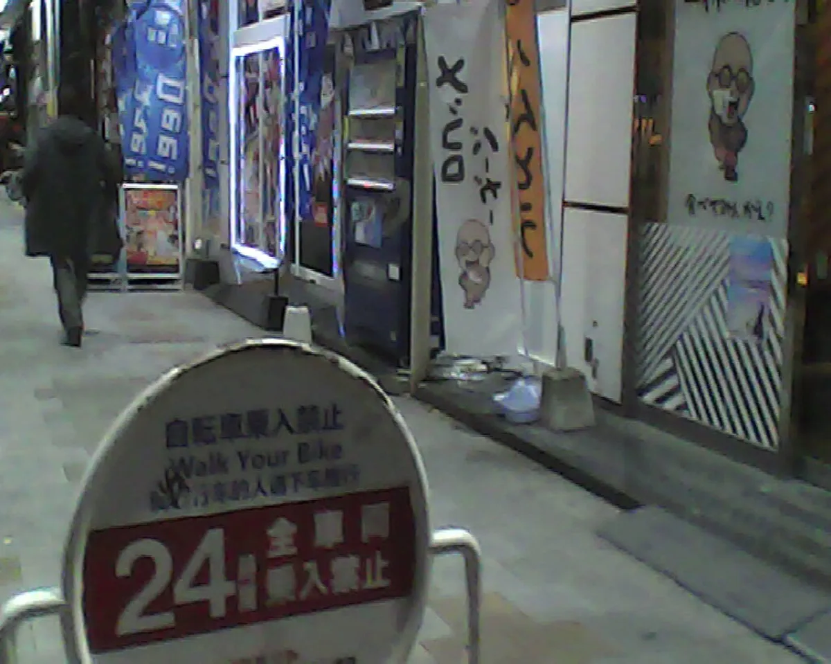 Best Time for Beppu Night Views in 2026