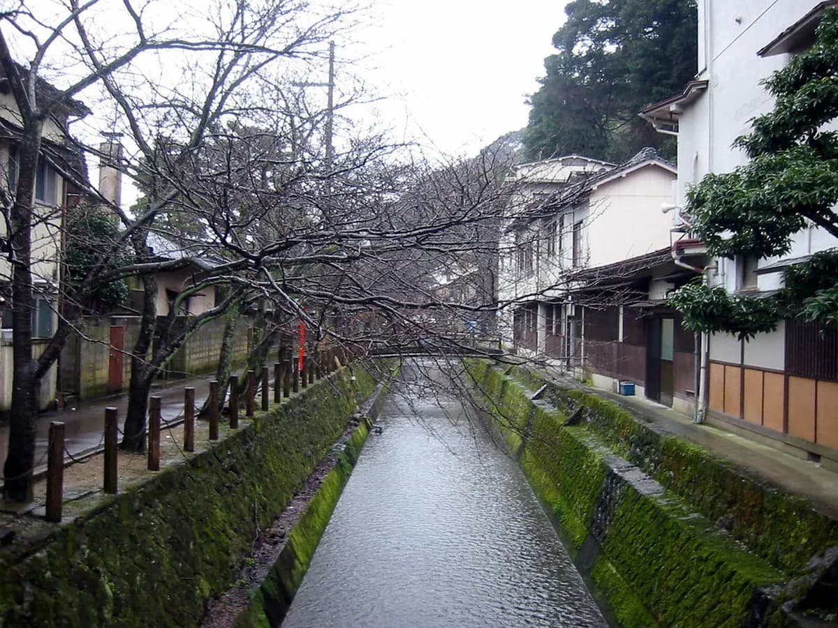 Best Time to Eat Crab in Kinosaki Onsen: 2026-2027 Season Guide