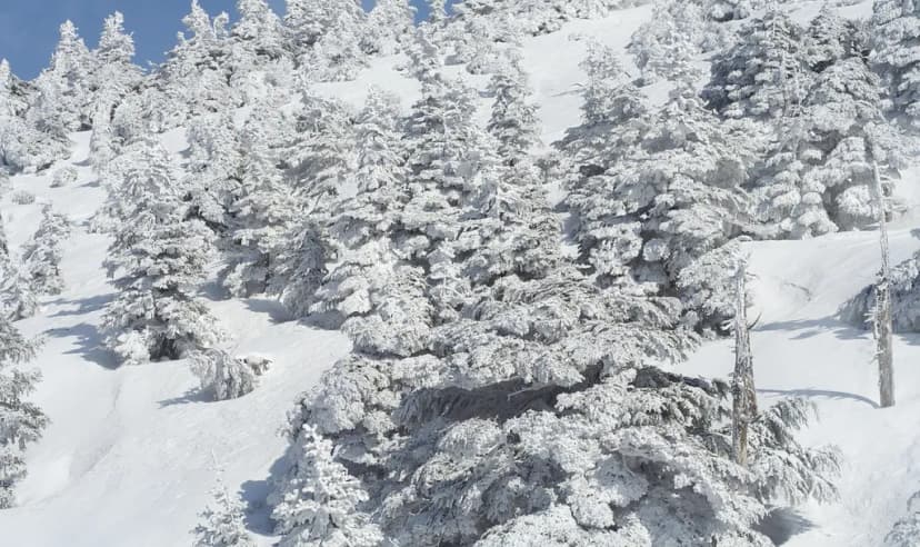 Best Time To Visit Aomori: 10-Point Seasonal & Travel Guide