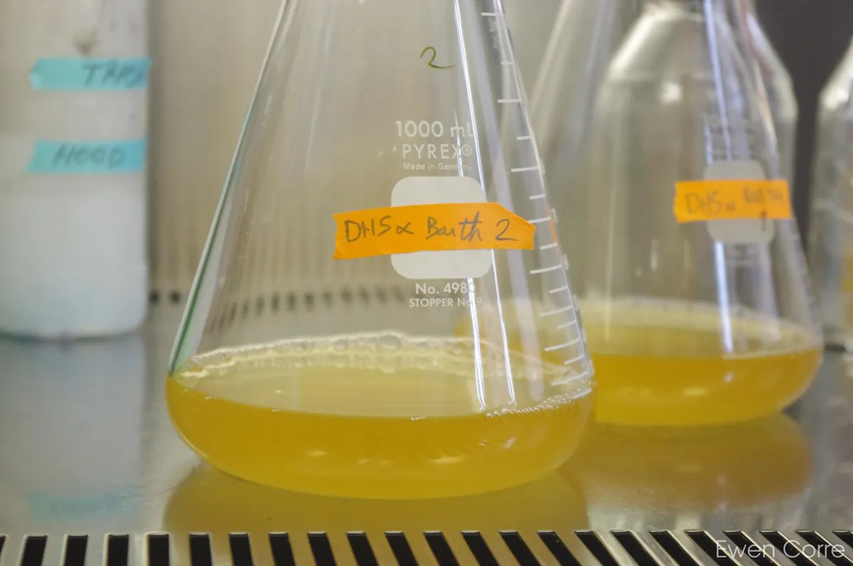 Best Time to Visit Fukuoka: Seasonal Travel Guide