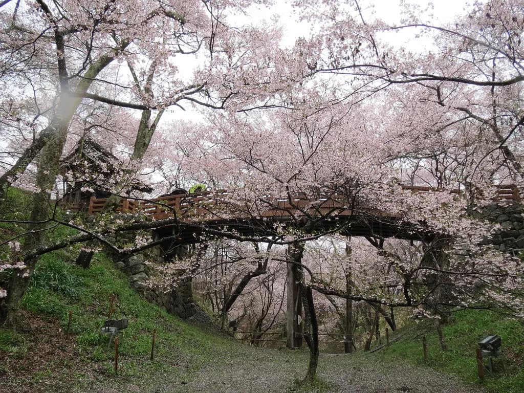 Best Time To Visit Hirosaki: Seasonal Guide & Festival Calendar