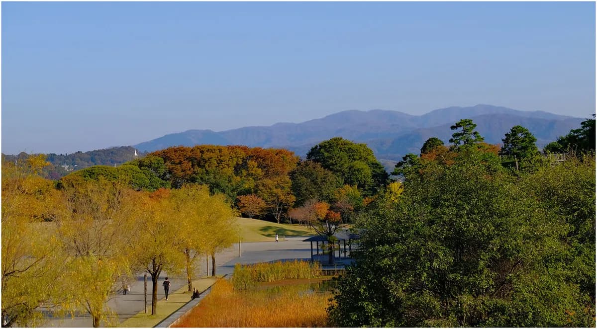 Best Time to Visit Kanazawa: 2026 Weather & Travel Guide