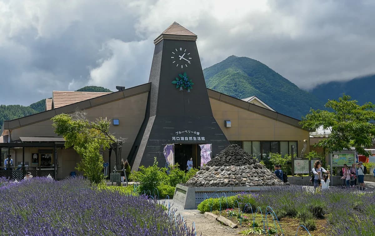 Best Time to Visit Kawaguchiko: Seasonal Guide & Mt. Fuji Views