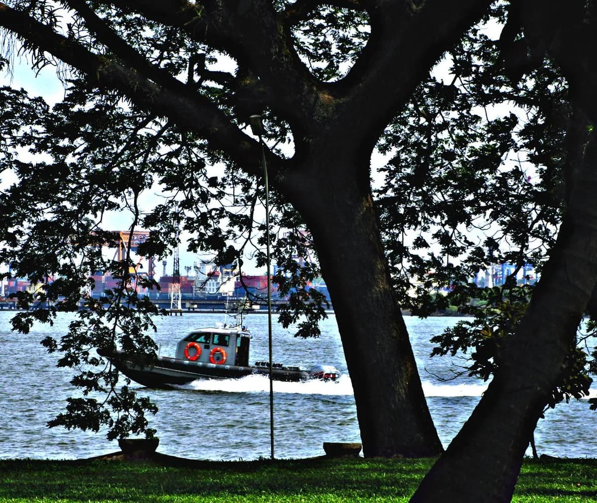 Best Time To Visit Kochi, Japan: 2026 Guide