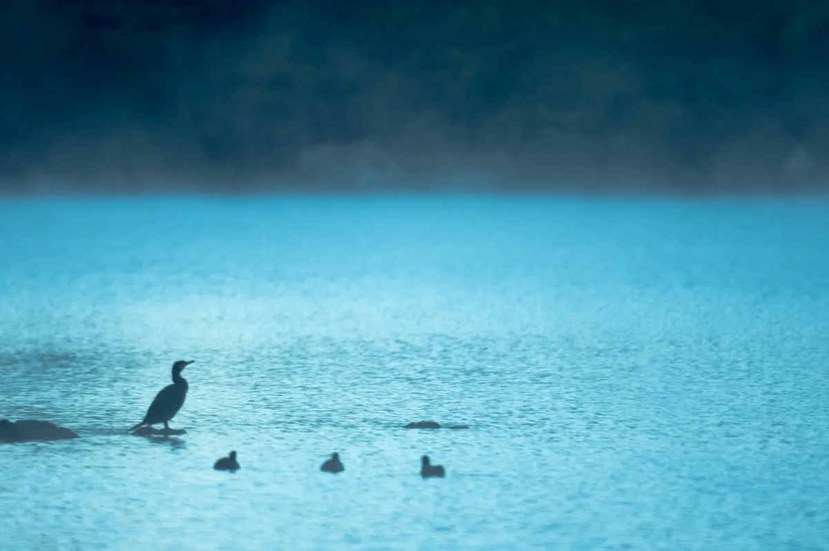 Best Time to Visit Nikko: Seasonal Guide & Weather Tips