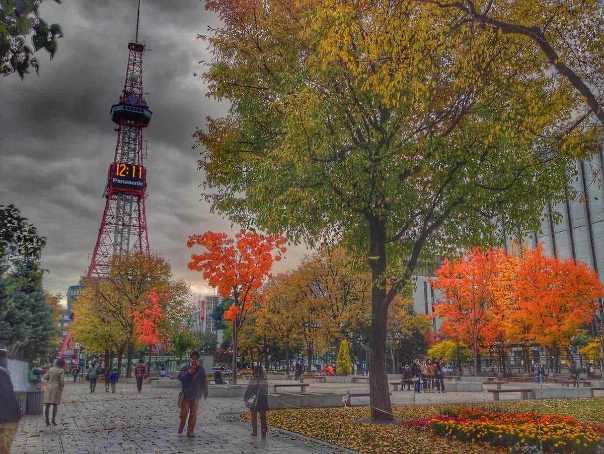 Best Time to Visit Sapporo: Complete Seasonal Travel Guide