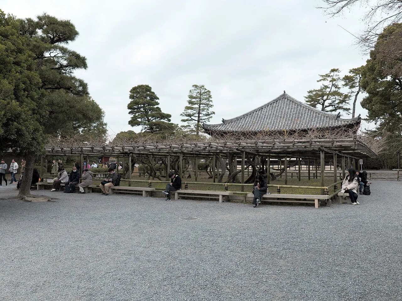 Best Time to Visit Uji, Japan (2026)