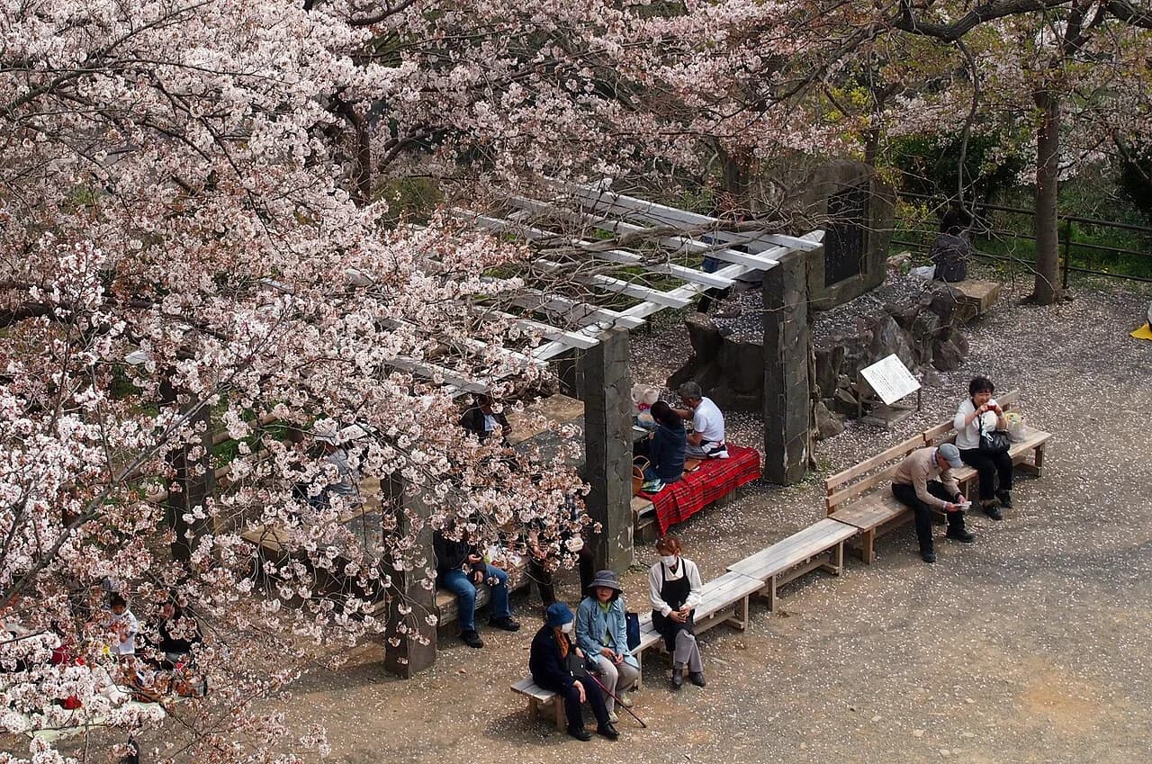 Best Time to Visit Wakayama (2026)