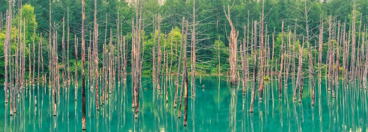 The Blue Pond (Aoiike) Visitor Guide: 10 Things to Know