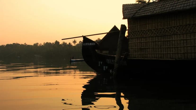 Day Trips From Kochi Travel Guide