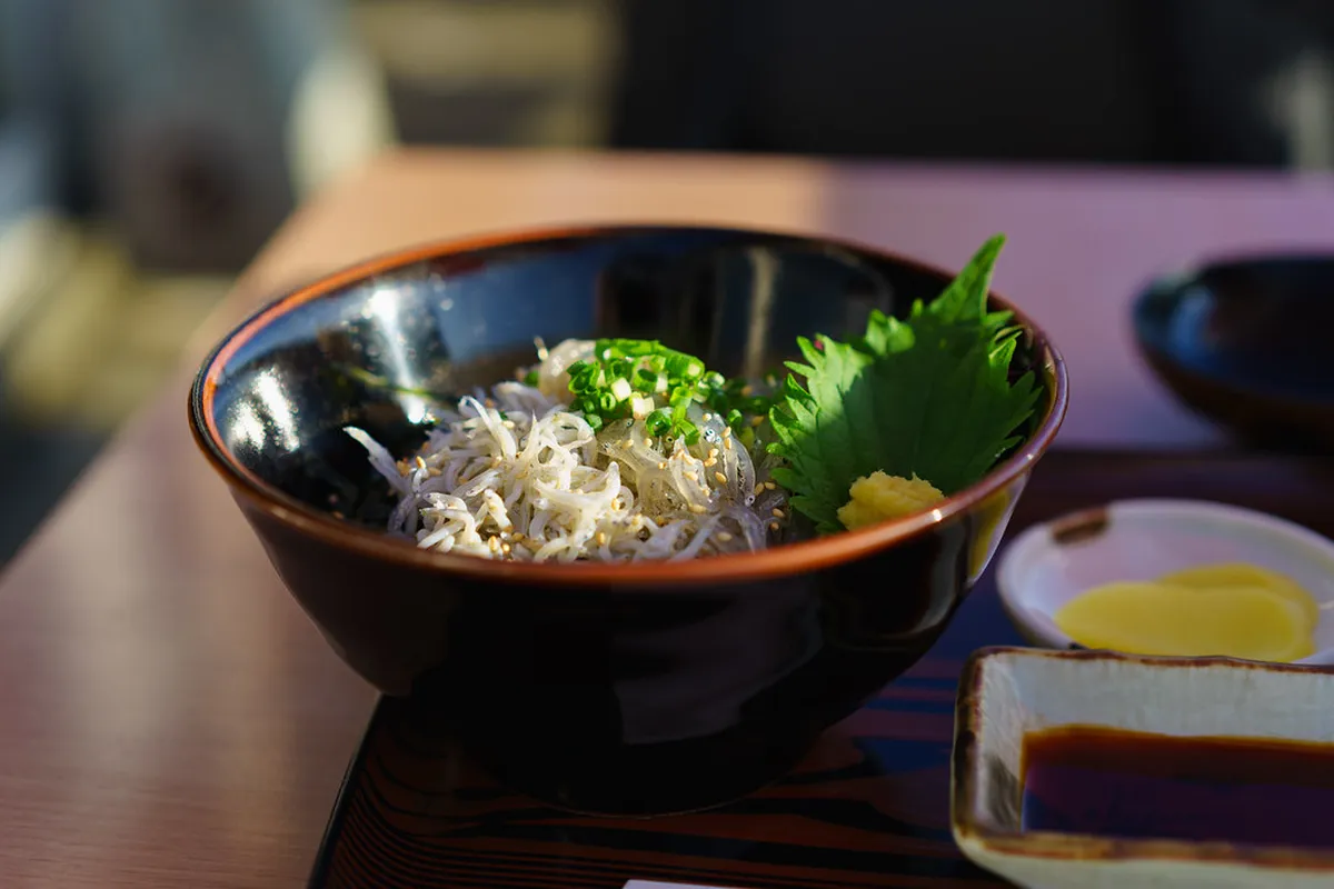 Enoshima Shirasu Food Travel Guide