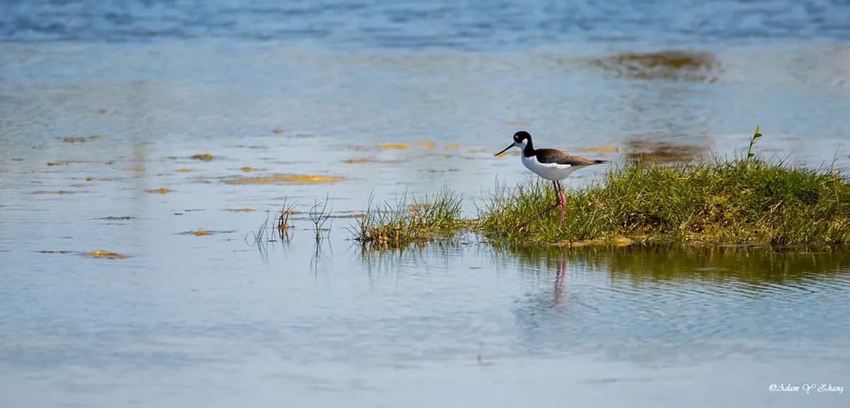 Fukuoka 1-Day Itinerary 2026: 9AM–11PM Schedule for Short-Stay Travelers