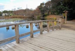 8 Things to Know: Fukuoka Castle Ruins (Maizuru Park) Visitor Guide