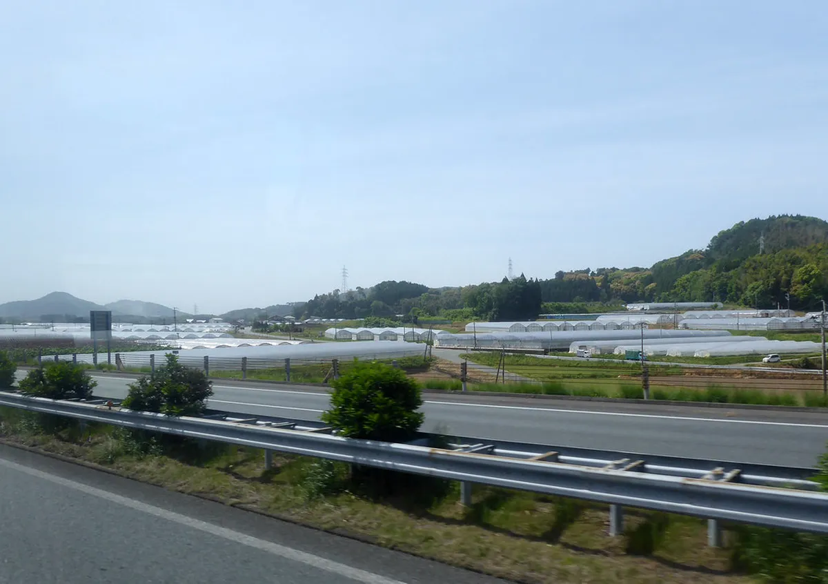 Fukuoka to Kumamoto: Complete Travel Guide (Train, Bus, & Car)