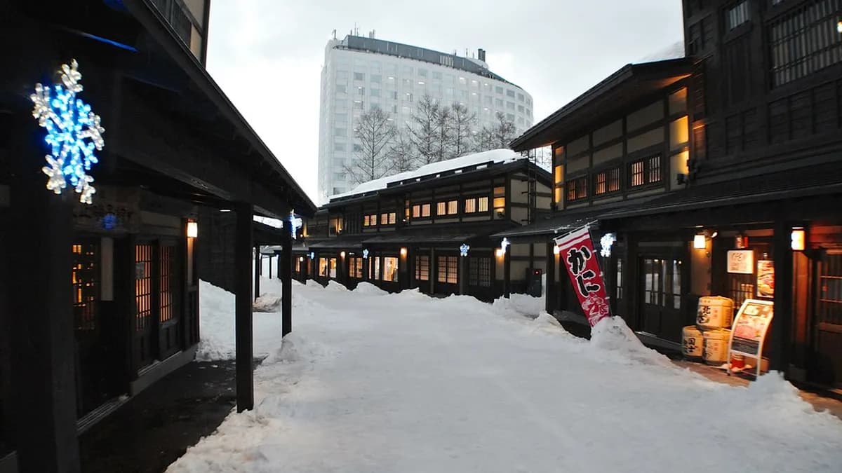Getting Around Niseko: The Complete Transportation Guide