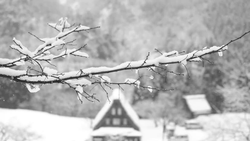 Gokayama Travel Guide: Visiting Japan's Hidden Gassho Villages