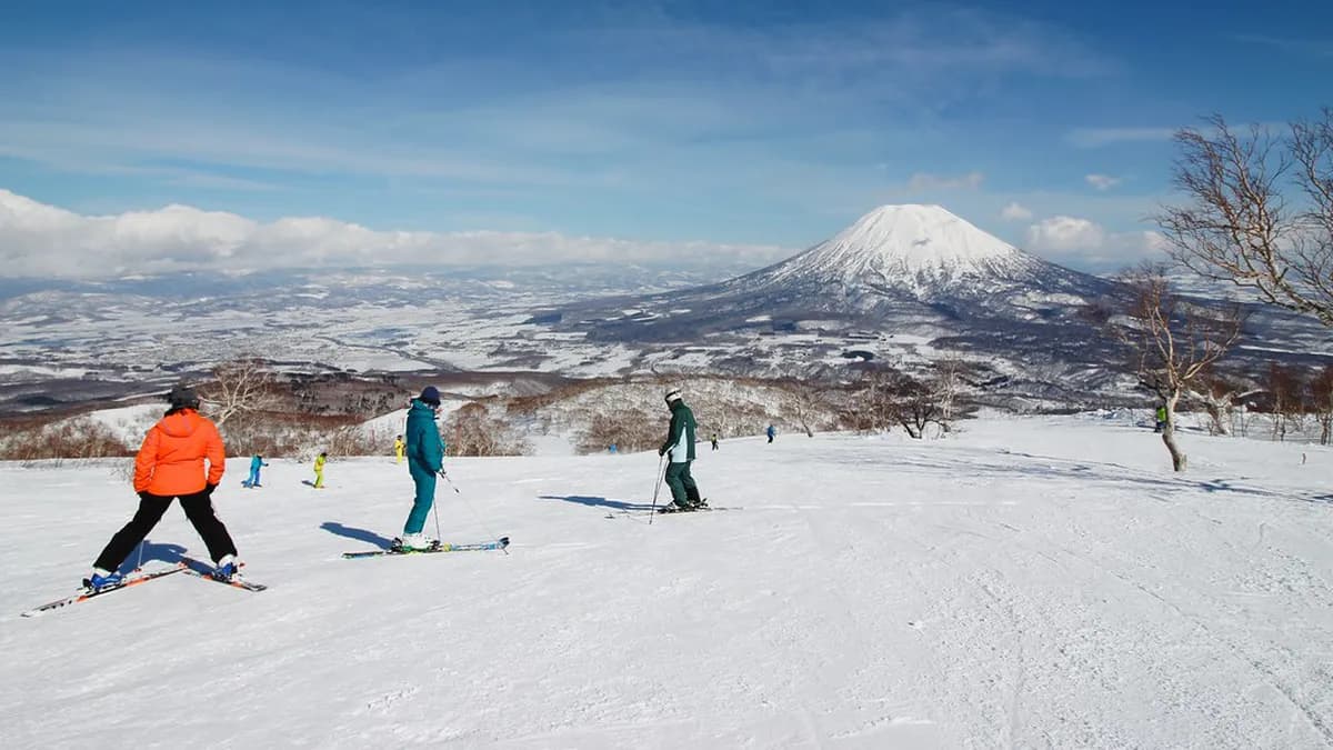 Niseko Grand Hirafu Visitor Guide Travel Guide