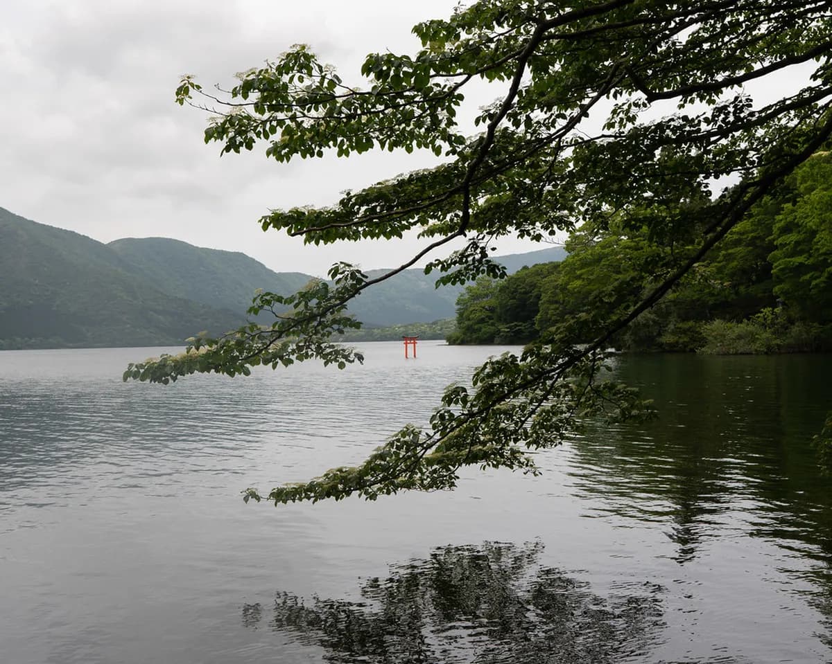 Hakone Shrine Visitor Guide: Plan Your Trip to Japan's Iconic Shrine