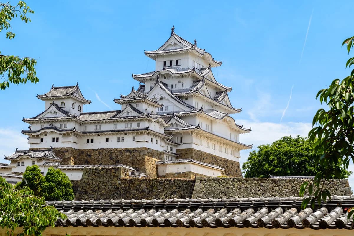 Himeji City Museum of Art Visitor Guide: 8 Essential Tips