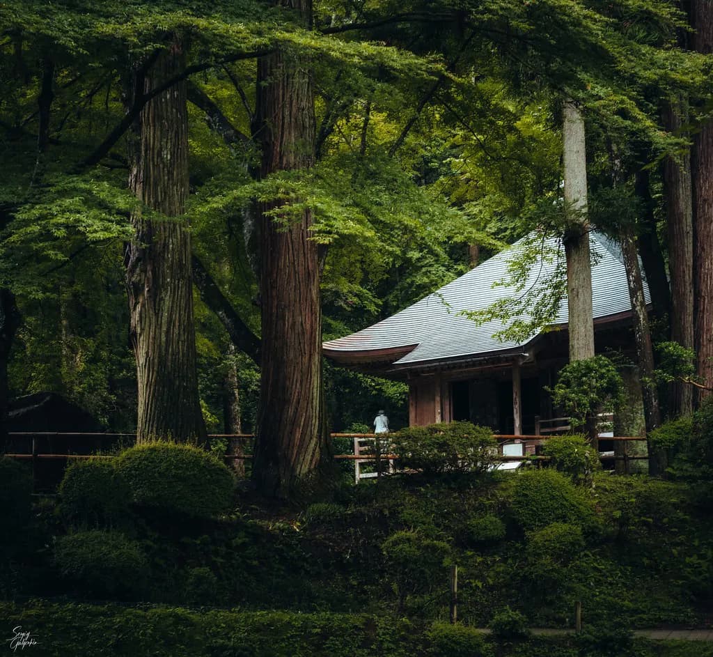 Hiraizumi Day Trip From Morioka and Sendai: The Complete Itinerary