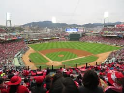 Hiroshima Carp Game Day Guide: 7 Essentials for Mazda Stadium