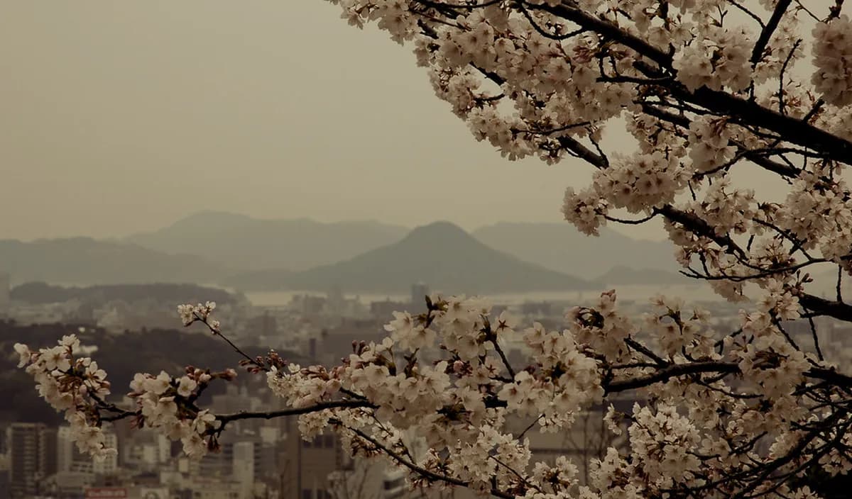 11 Best Hiroshima Cherry Blossom and Hanami Viewing Spots 2026