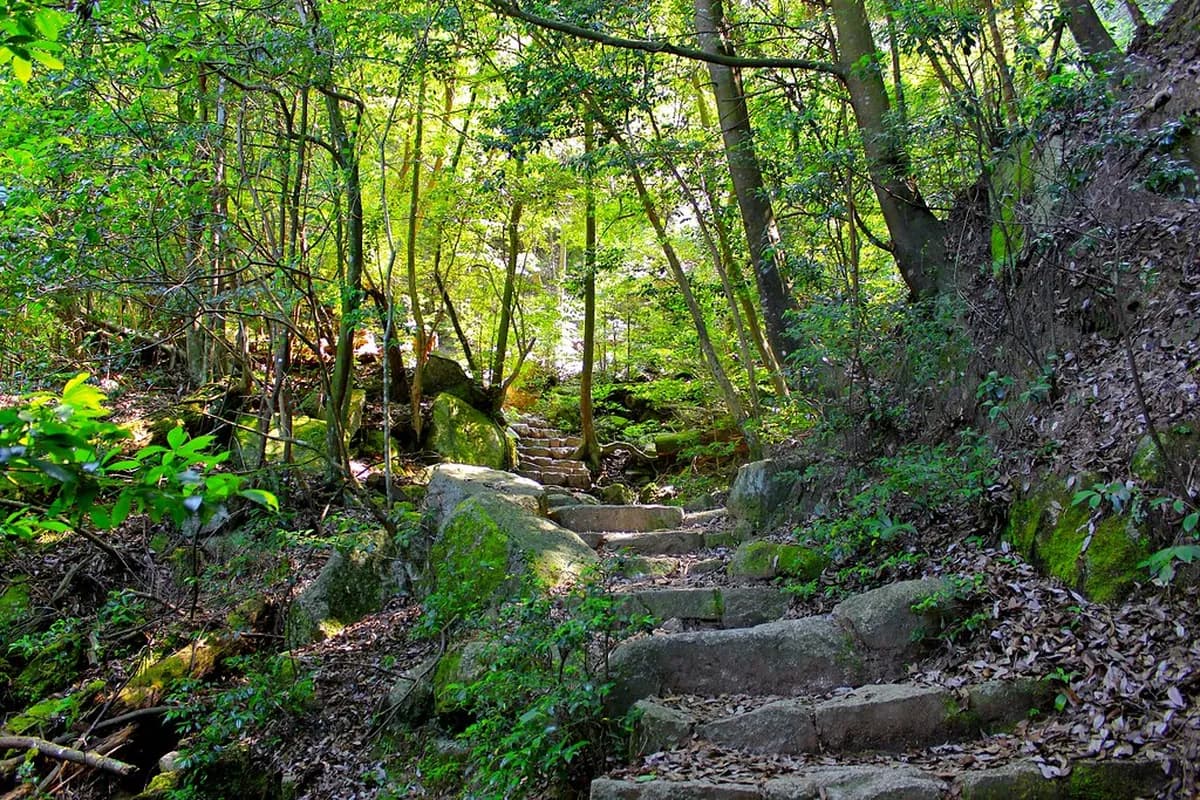 9 Best Hiroshima Hiking Trails and Scenic Walks (2026)