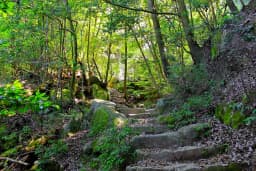 9 Best Hiroshima Hiking Trails and Scenic Walks (2026)