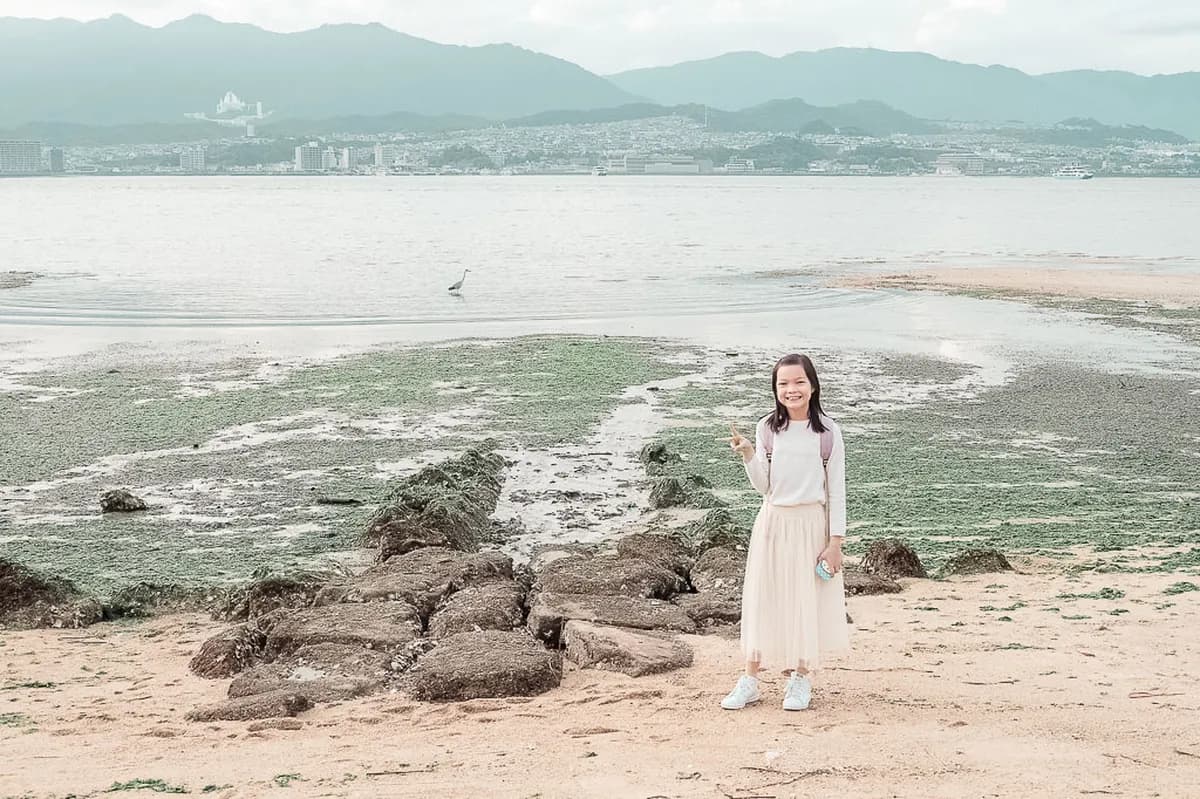 Hiroshima Travel Budget: Solo vs Private Guided Tours