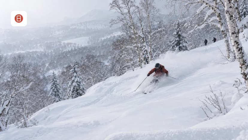 Hokkaido Powder Guide 2026-27: Niseko vs. Furano, Passes, and Backcountry Basics