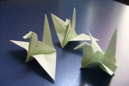 How to Fold Orizuru Paper Cranes at Hiroshima Peace Memorial