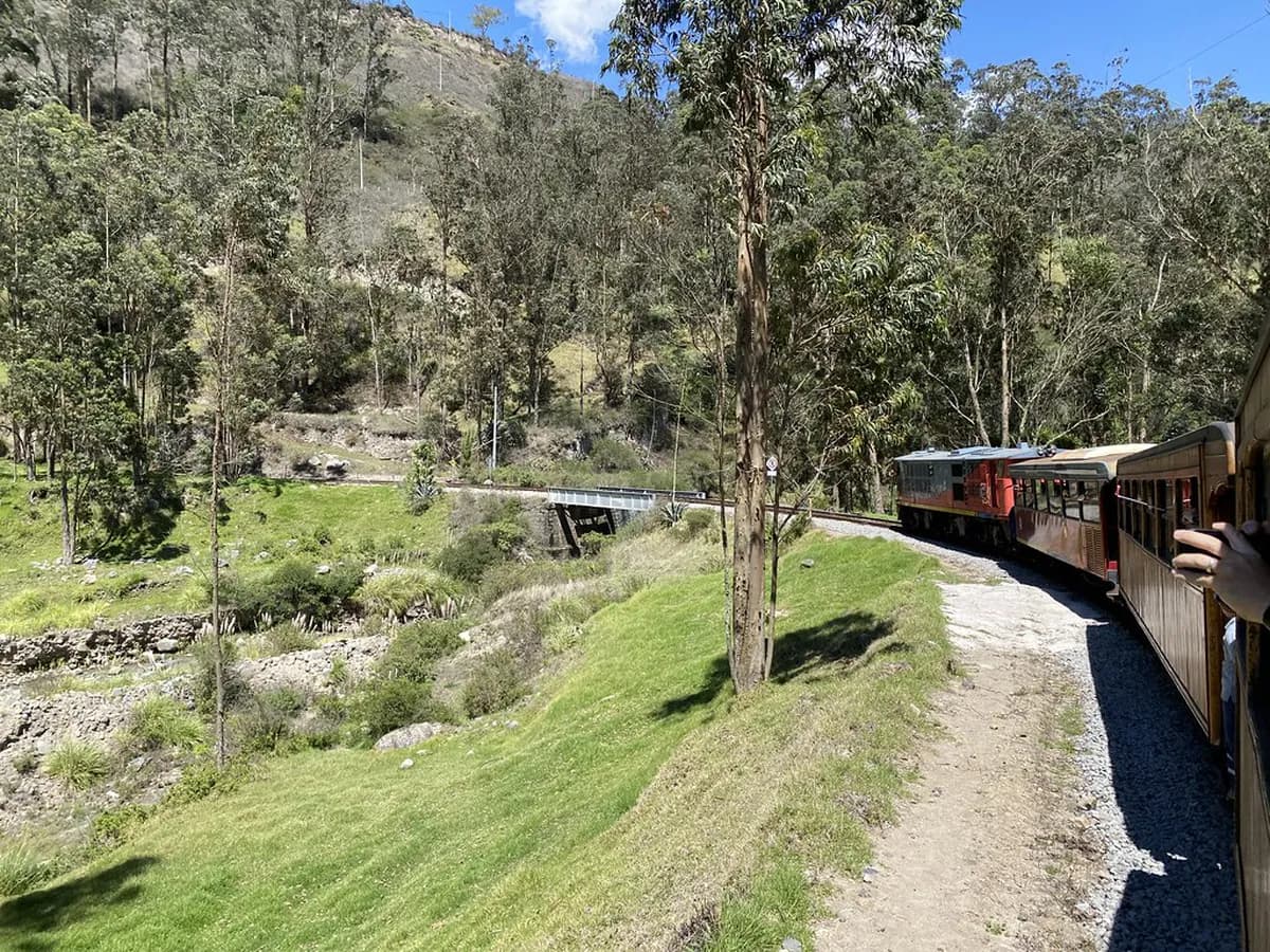 How to Reach Mount Tsurumi Summit: A Beppu Guide