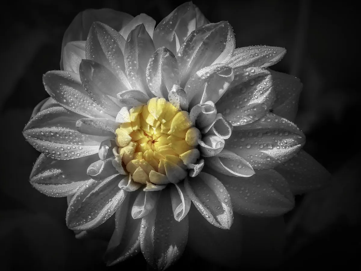 How to Visit Beppu Hells by Bus: The Complete 2026 Guide