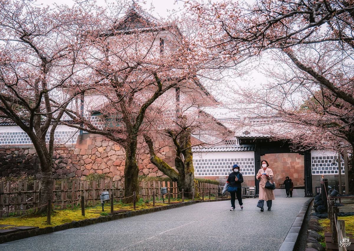 Kanazawa Castle Park Guide 2026: Hours, Tickets & Access