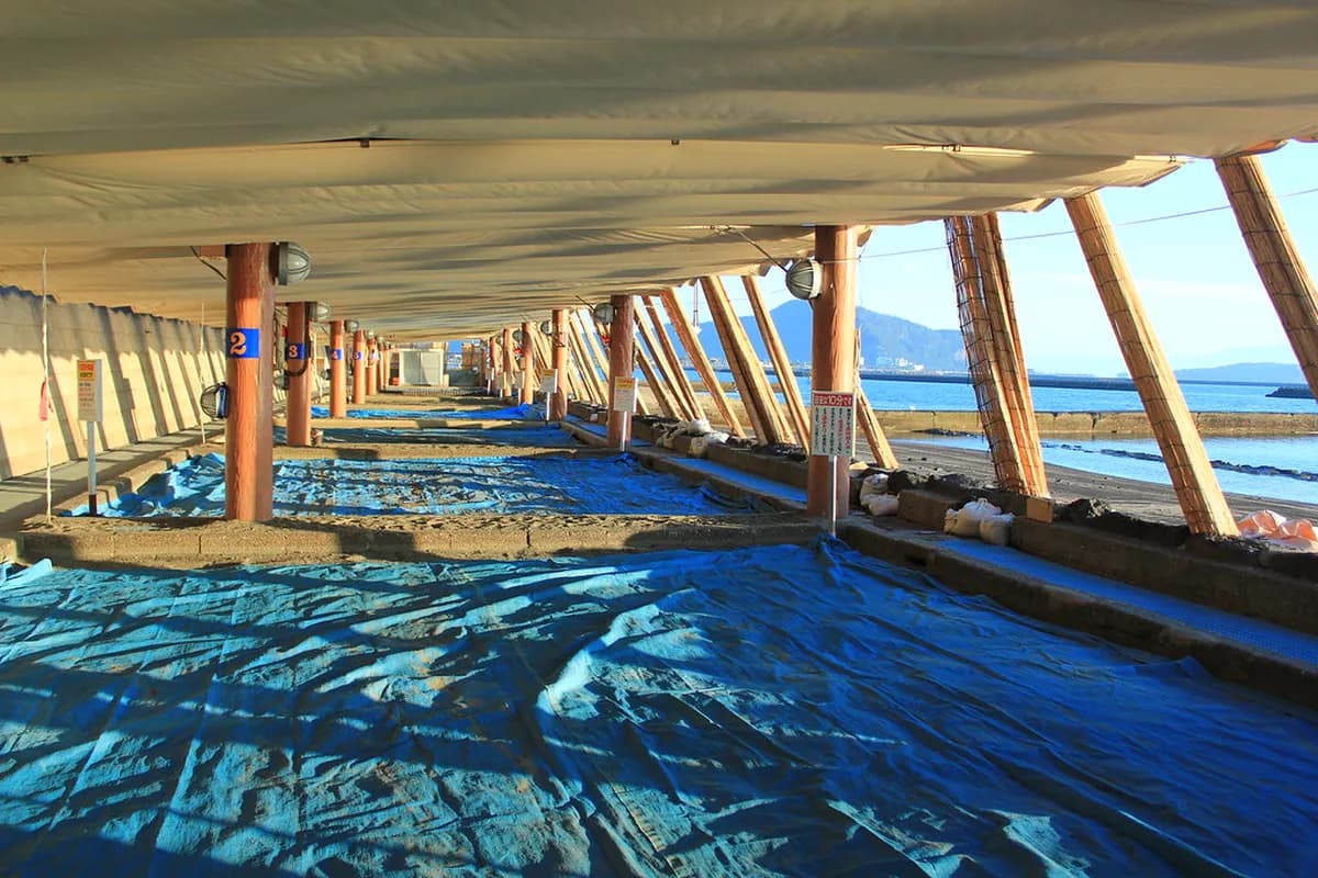 Ibusuki Sand Bath Visitor Guide: 7 Essential Tips & Attractions
