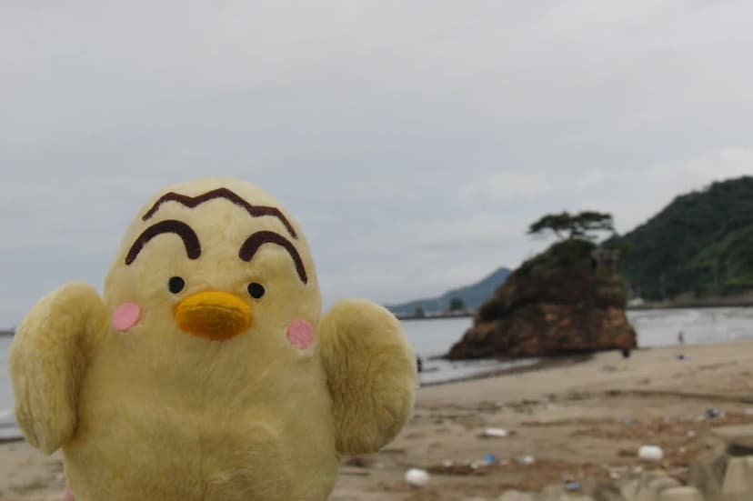 Inasa-no-hama Beach Visitor Guide Travel Guide