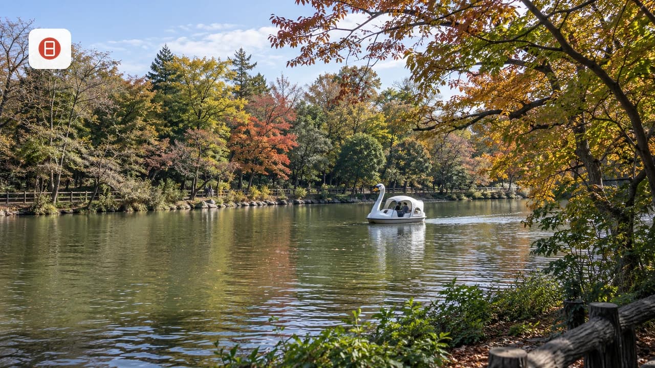 Inokashira Park Tokyo: Boats, Zoo, Ghibli Tips and Kichijoji Walk