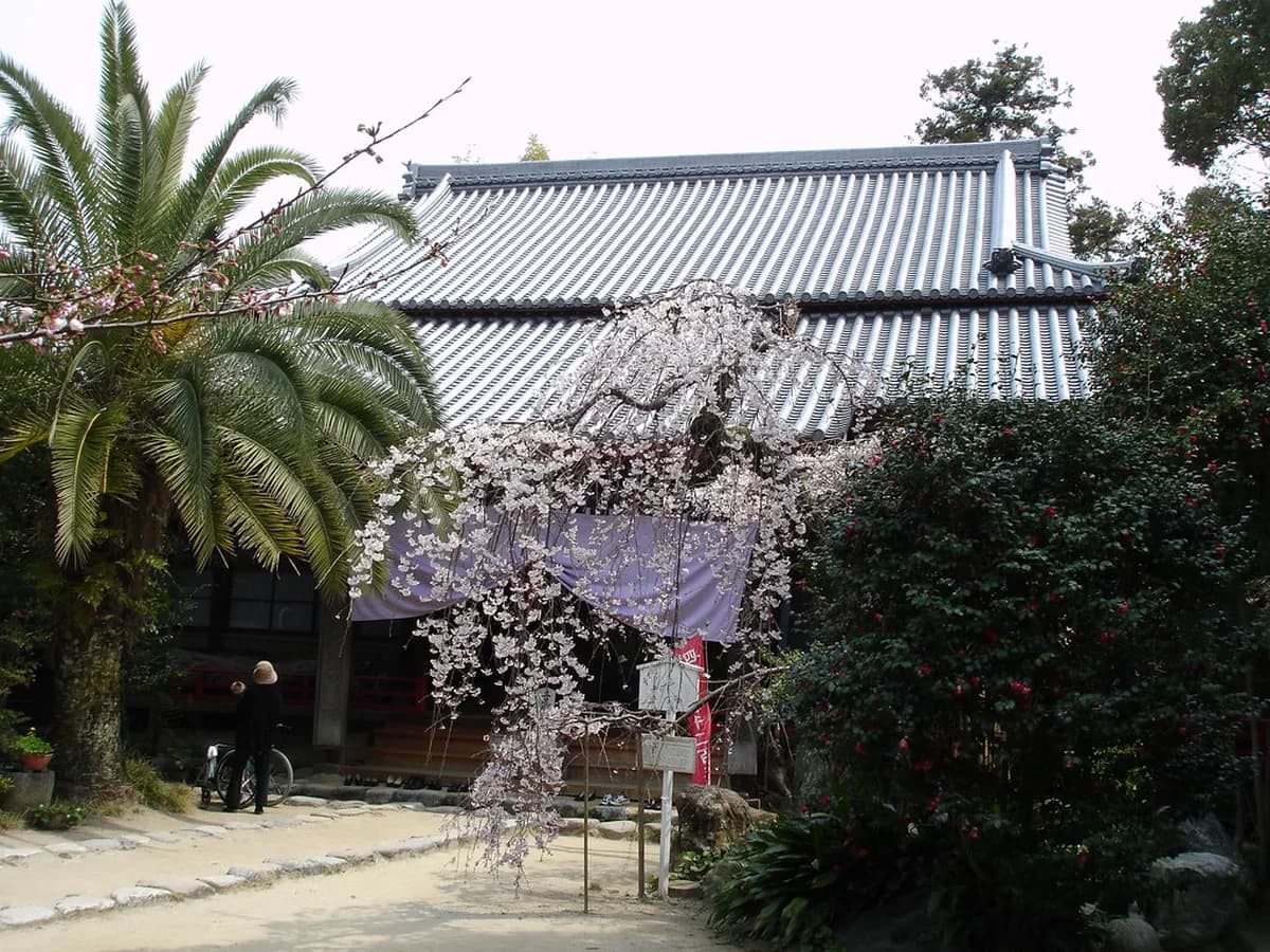 Ishite-ji Visitor Guide: 8 Essential Tips for Your Visit