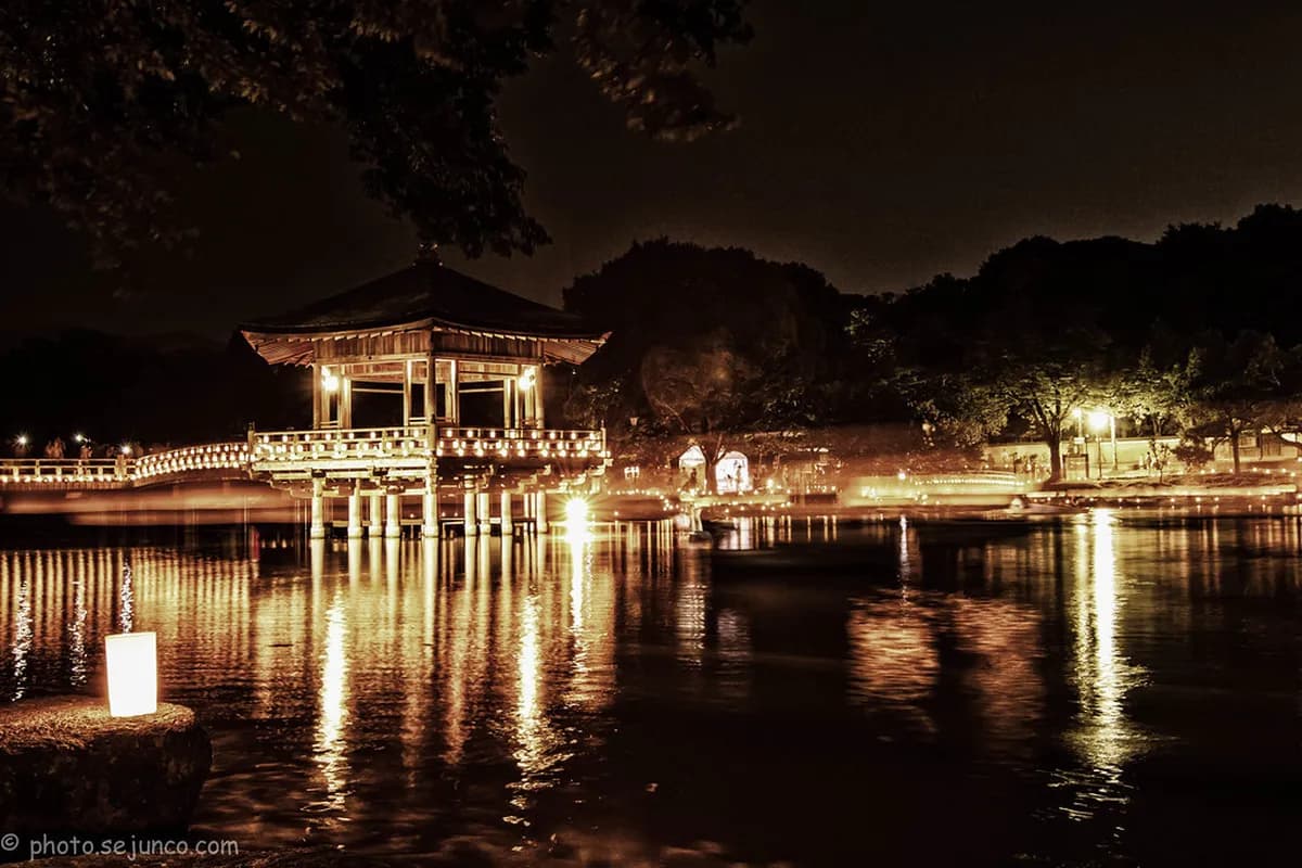 10 Best Hotels in Nara for an Unforgettable Stay (2026)