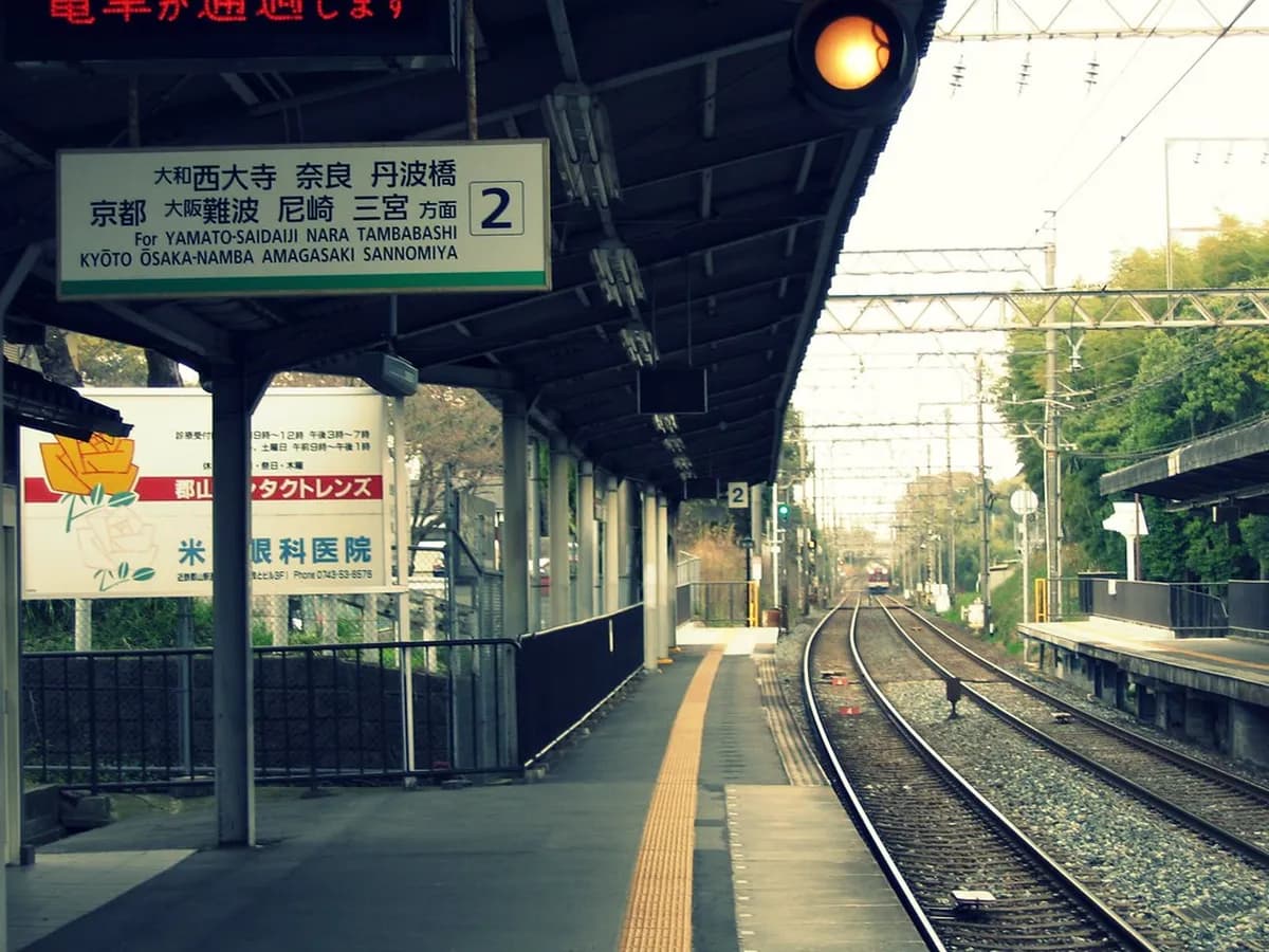 How To Get To Nara: 9 Essential Transit Tips & Routes