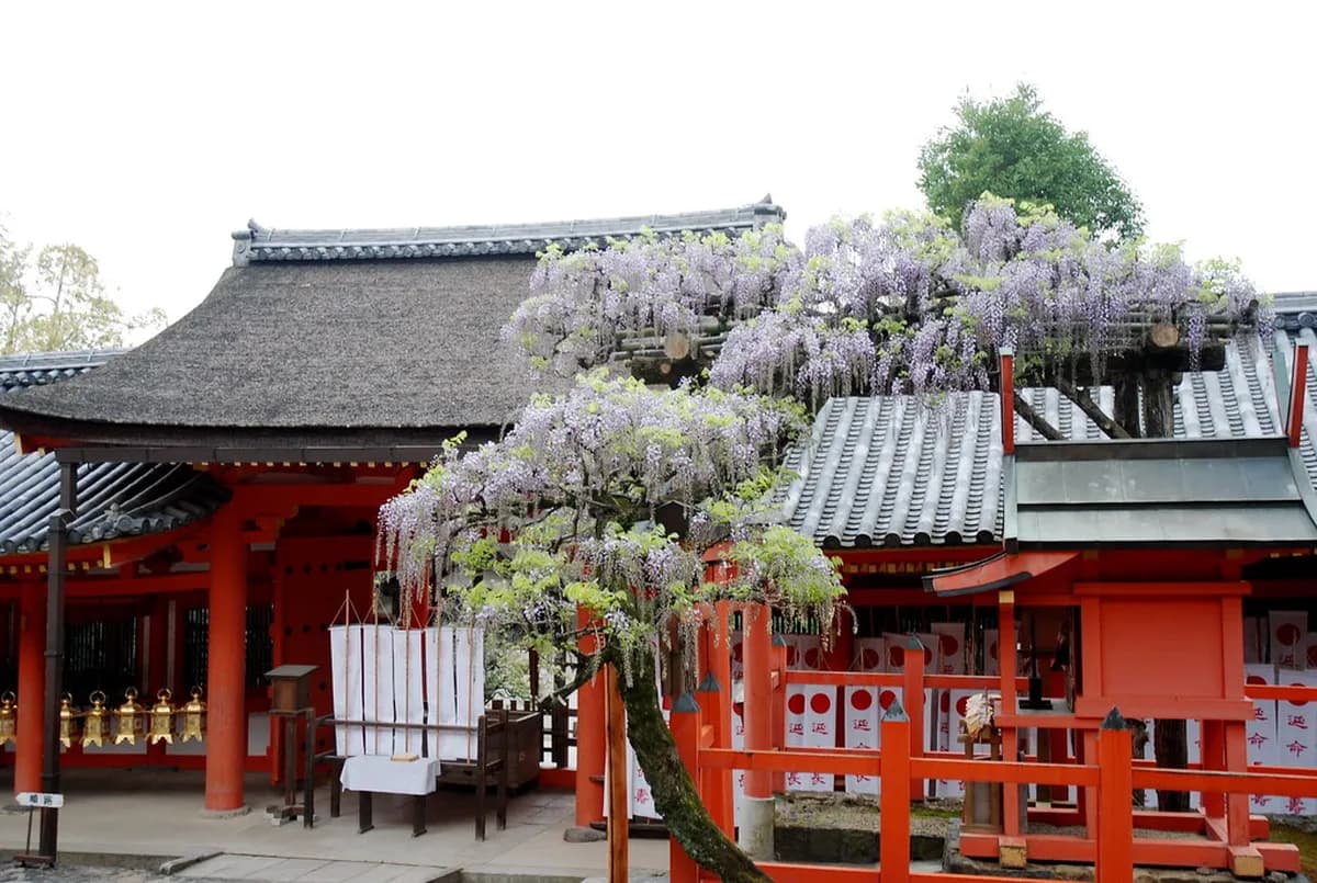 10 Essential Guides to Nara Festivals and Events