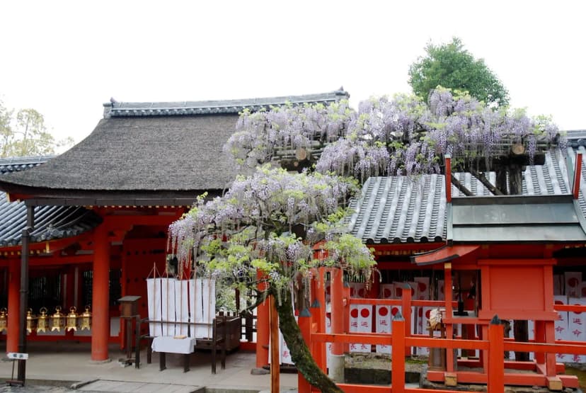 10 Essential Guides to Nara Festivals and Events