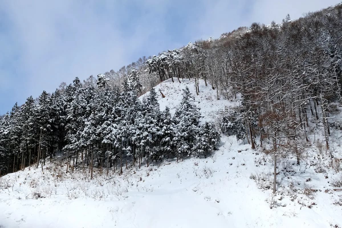 Jigokudani Snow Monkey Park Travel Guide